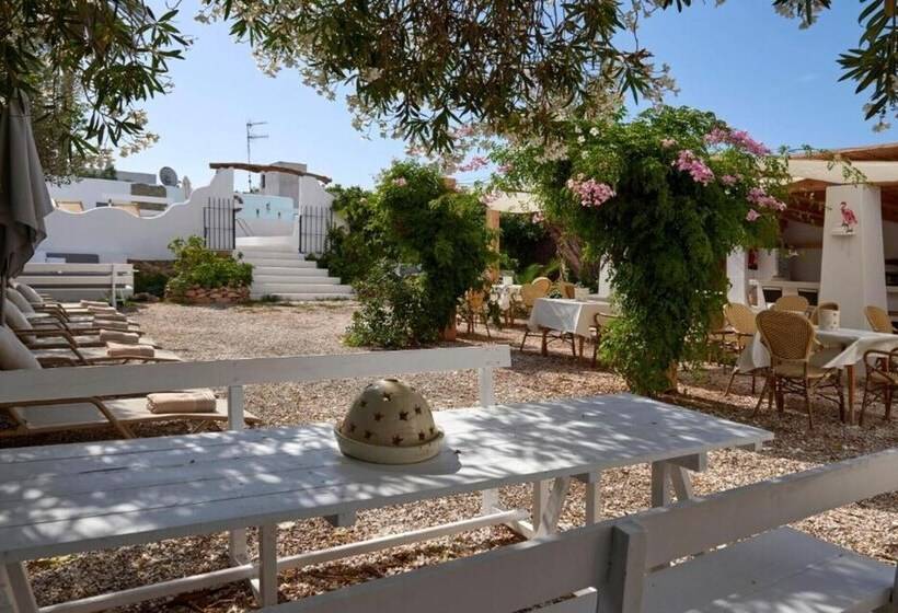 פונדק Flamingo Ibiza