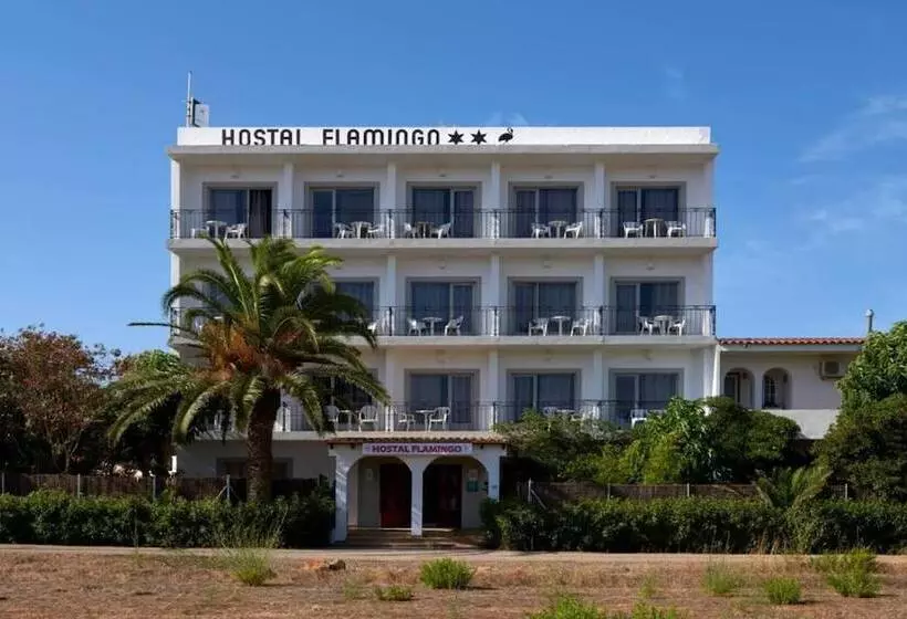 簡易ホテル Flamingo Ibiza