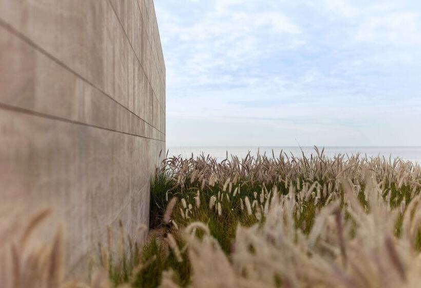 酒店 Casa Maat At Jw Marriott Los Cabos Beach Resort & Spa