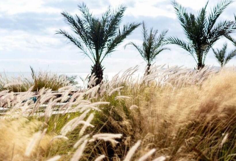 酒店 Casa Maat At Jw Marriott Los Cabos Beach Resort & Spa