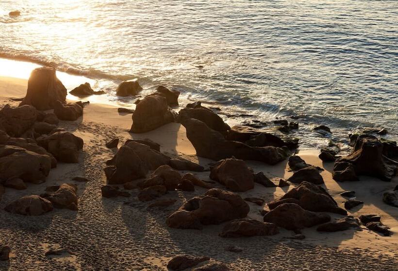 酒店 Casa Maat At Jw Marriott Los Cabos Beach Resort & Spa