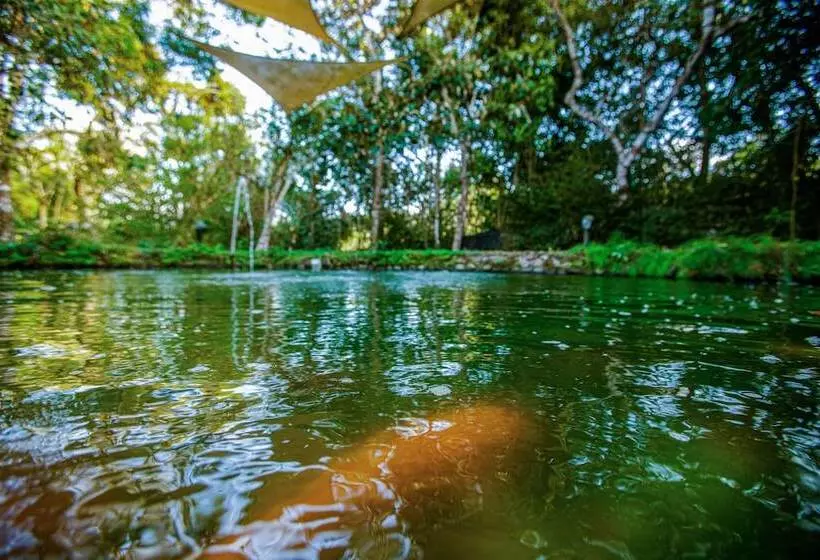 ホテル Casa Madre Tierra