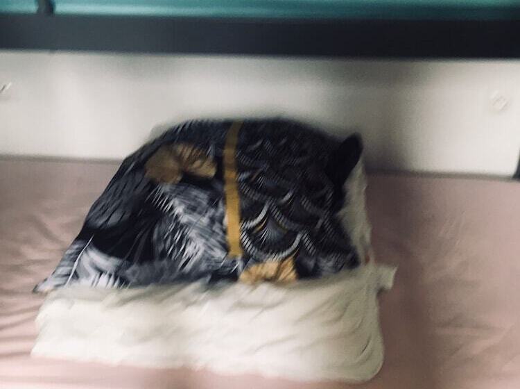 酒店 Roomate Stains