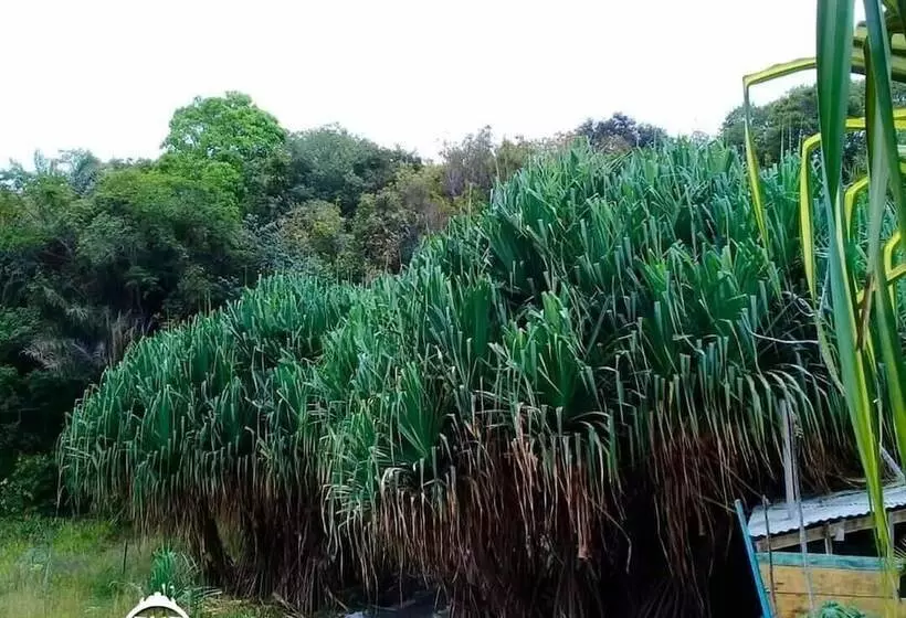 Maaseutuhotelli Fazenda Vila Flor