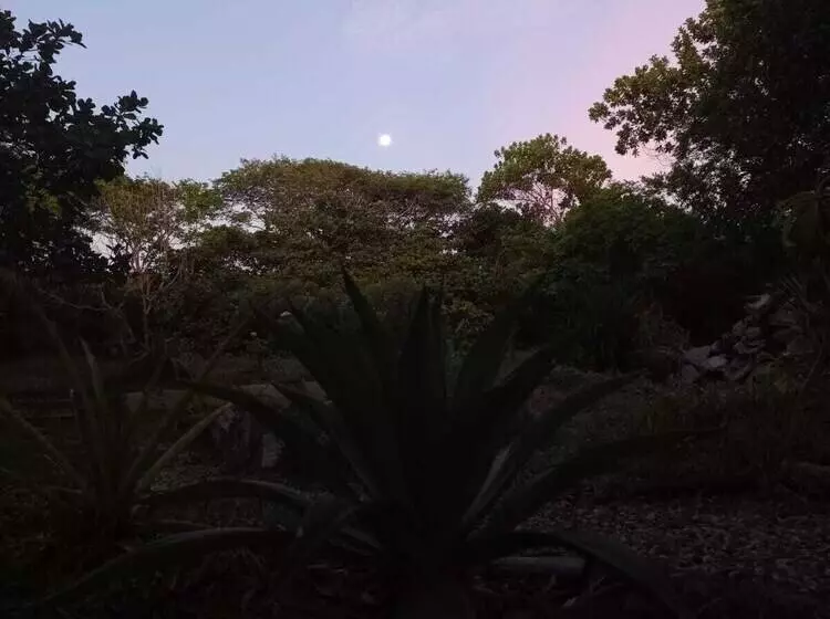 Maaseutuhotelli Fazenda Vila Flor