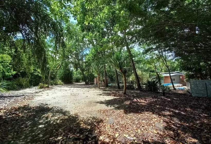 Maaseutuhotelli Fazenda Vila Flor