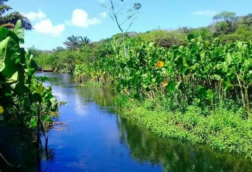 Maaseutuhotelli Fazenda Vila Flor