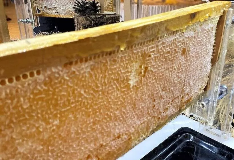 هتل Sapran Deluxe