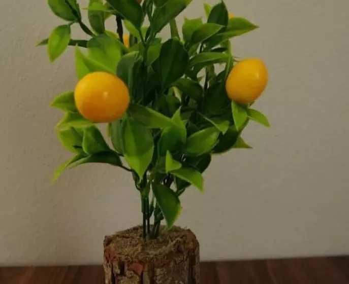 Li̇mon Otel Kiyiköy