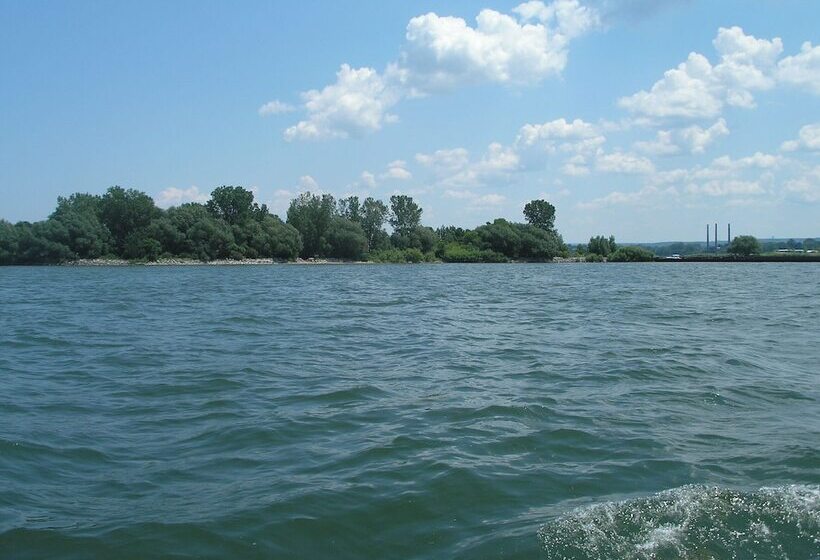 فندق على الطريق Rodeway Inn