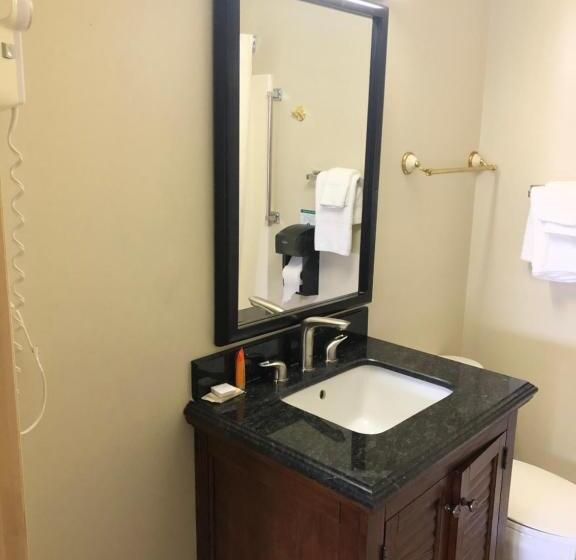 فندق على الطريق Rodeway Inn