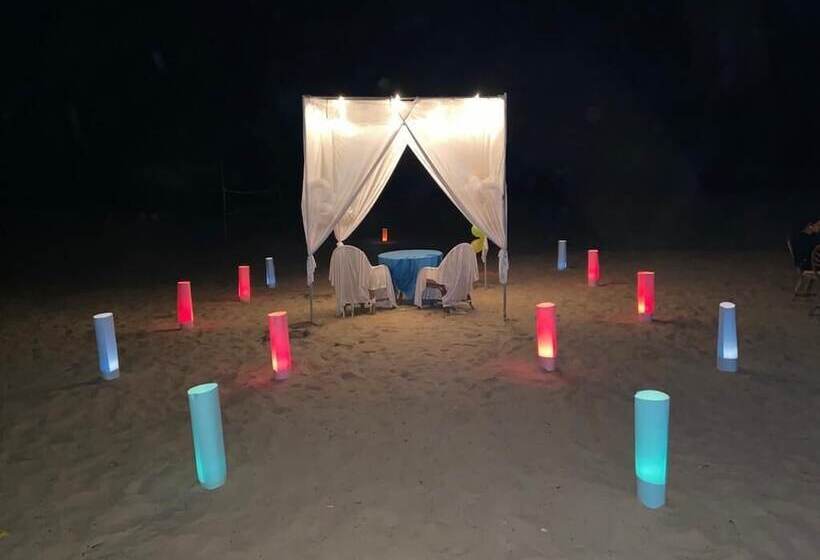 膳宿费 Secret Garden