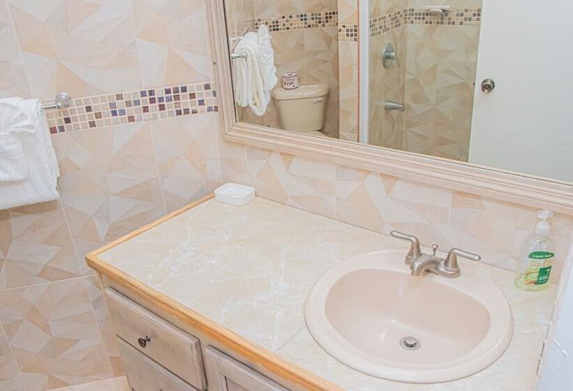 پانسیون Chateau De La Rose