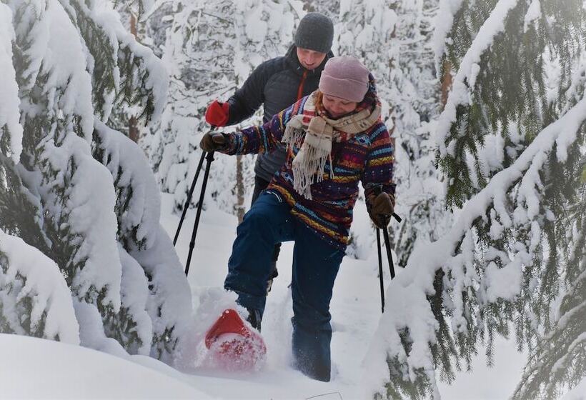 膳宿费 Karkausmäki Glamping