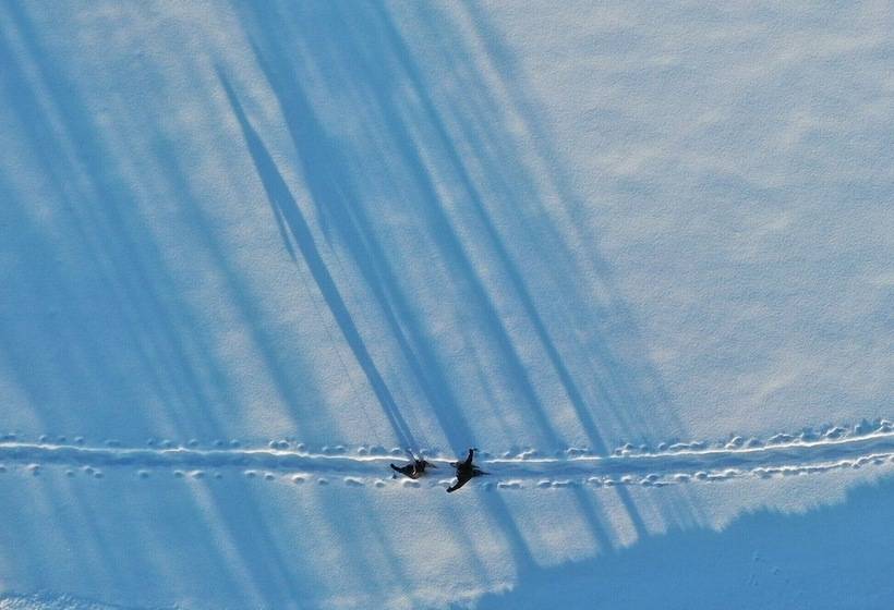 膳宿费 Karkausmäki Glamping