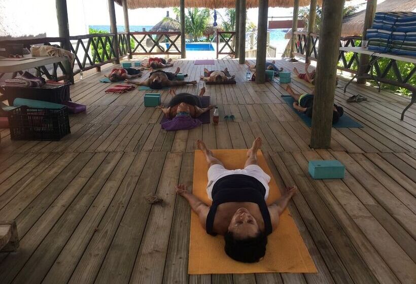 The Diving Lodge Downtown