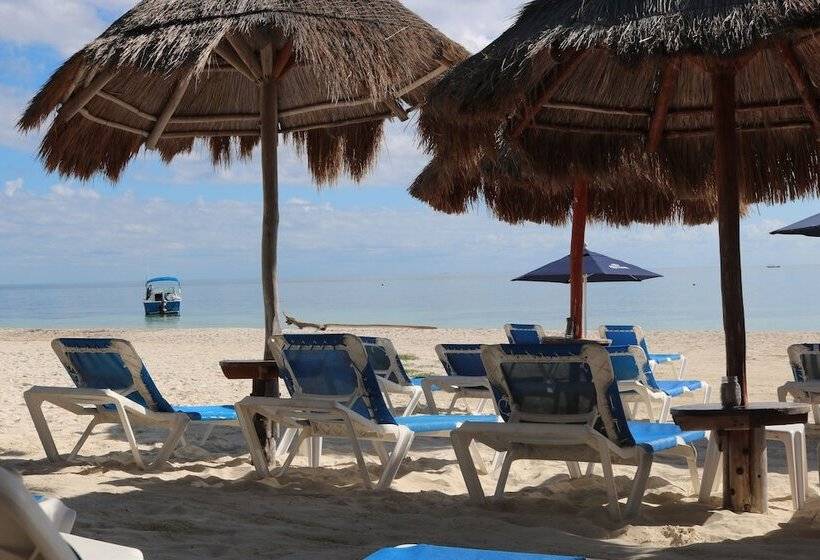 The Diving Lodge Downtown