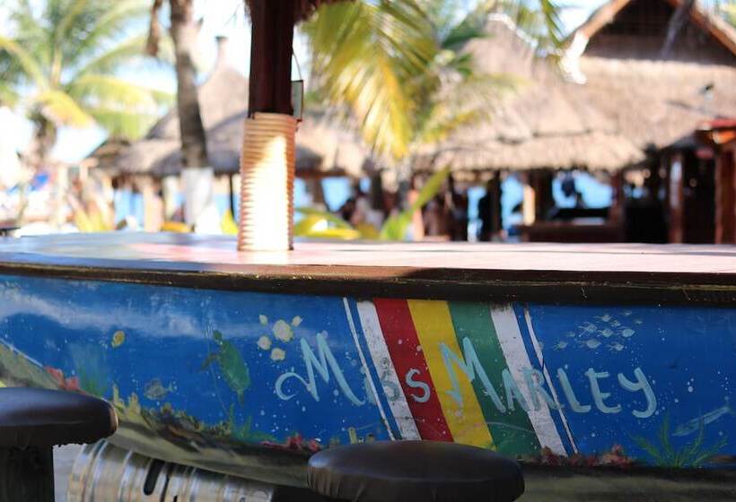 The Diving Lodge Downtown