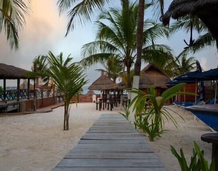 The Diving Lodge Downtown