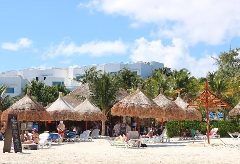 The Diving Lodge Downtown