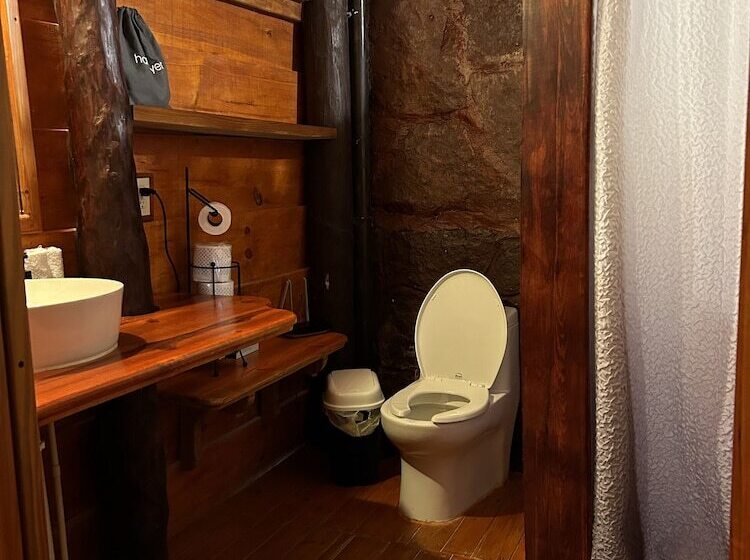 The Diving Lodge Downtown