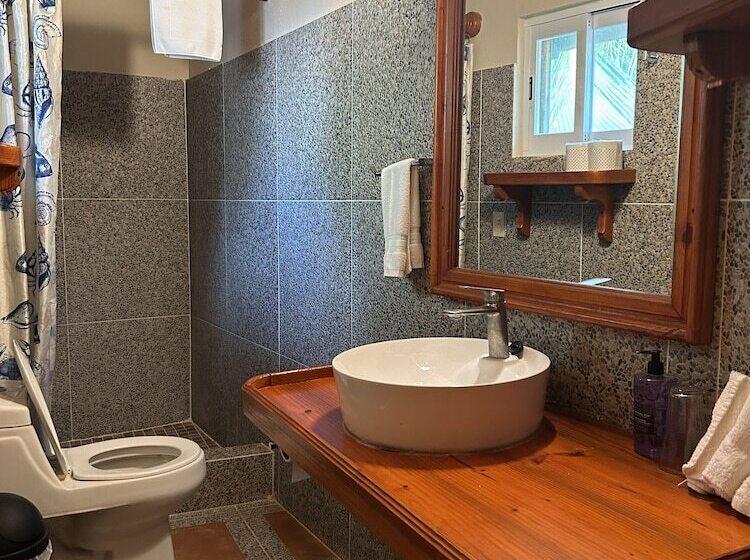 The Diving Lodge Downtown