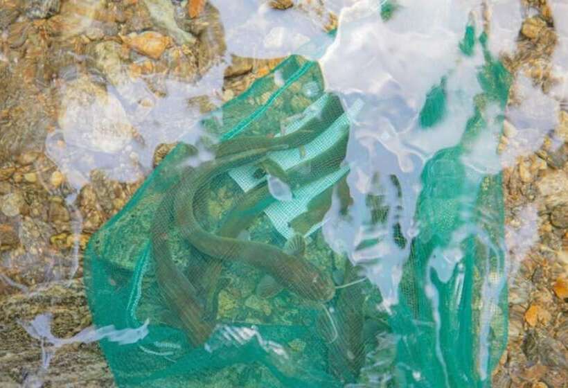 Chuncheon Byeolnim Dalnim Pension