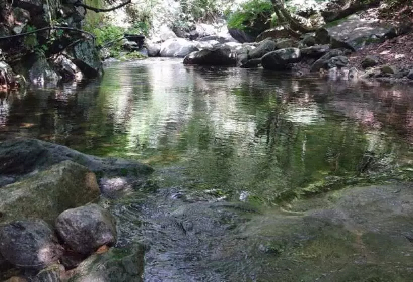 Chuncheon Byeolnim Dalnim Pension