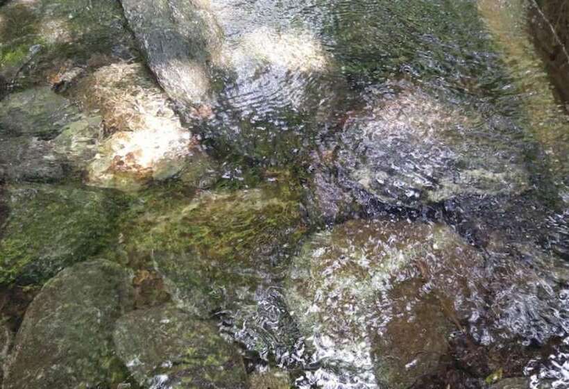 Chuncheon Byeolnim Dalnim Pension