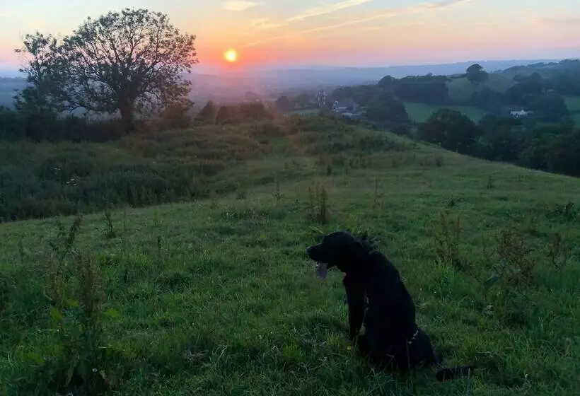 Cozy And Peaceful Cabin 15 Mins From Lyme Regis