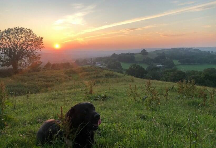 Cozy And Peaceful Cabin 15 Mins From Lyme Regis