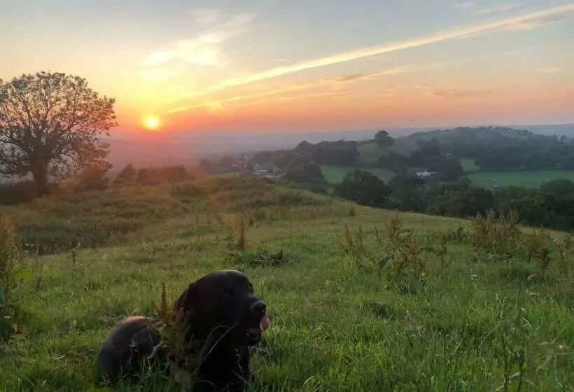 Cozy And Peaceful Cabin 15 Mins From Lyme Regis