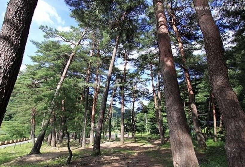 Donghae Suwonji Pension