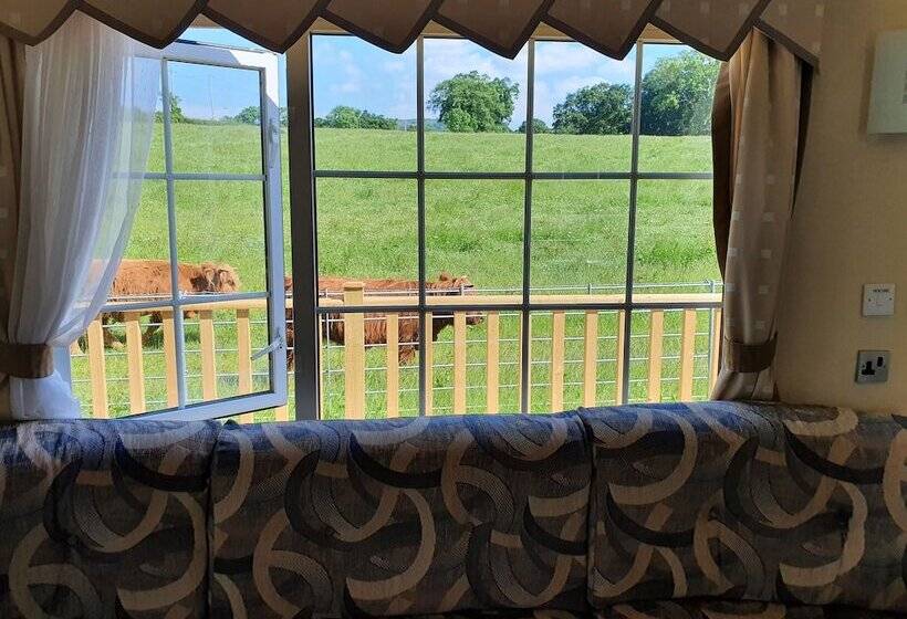 Gaerhyfryd Static Caravan