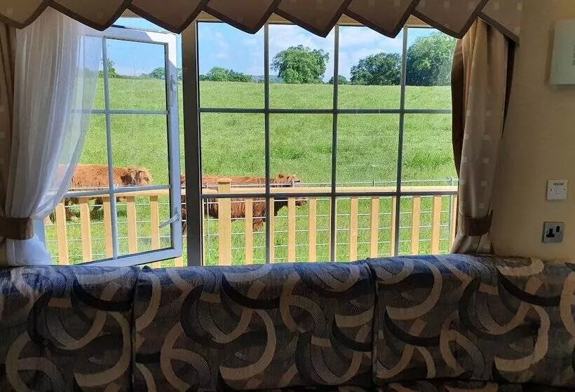 Gaerhyfryd Static Caravan