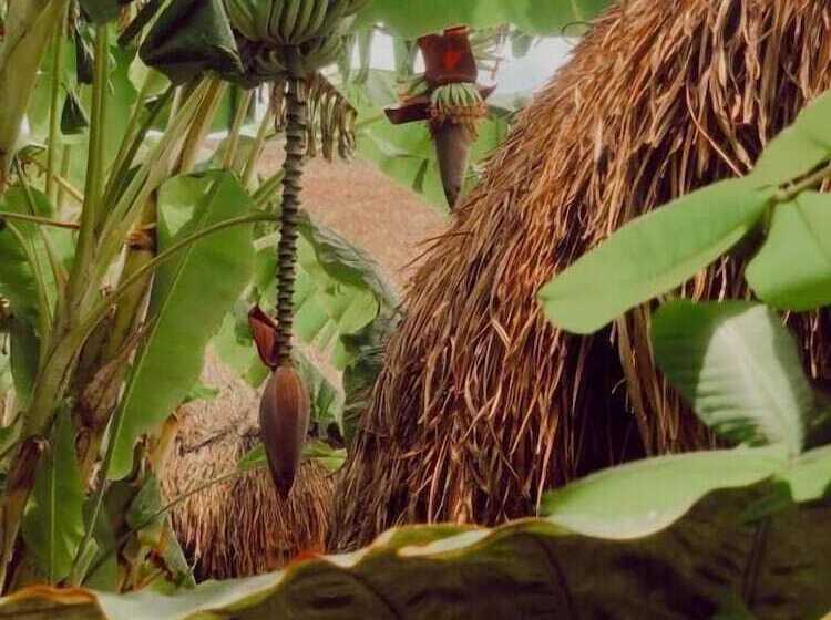 فندق Aldea Che Eek