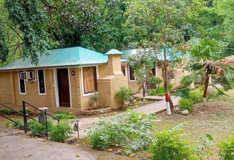 Отель Corbett Tiger Tejomaya Resort