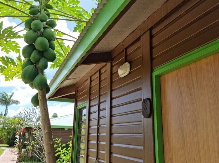 酒店 Oasis De Kiamu