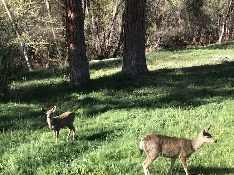 Hotelli Quiet Mind Lodge, Retreat & Spa Sequoias