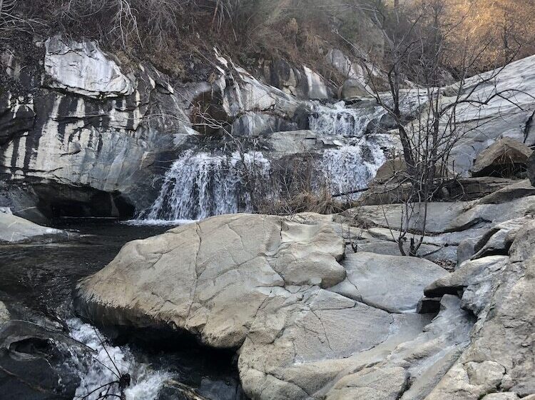 Отель Quiet Mind Lodge, Retreat & Spa Sequoias