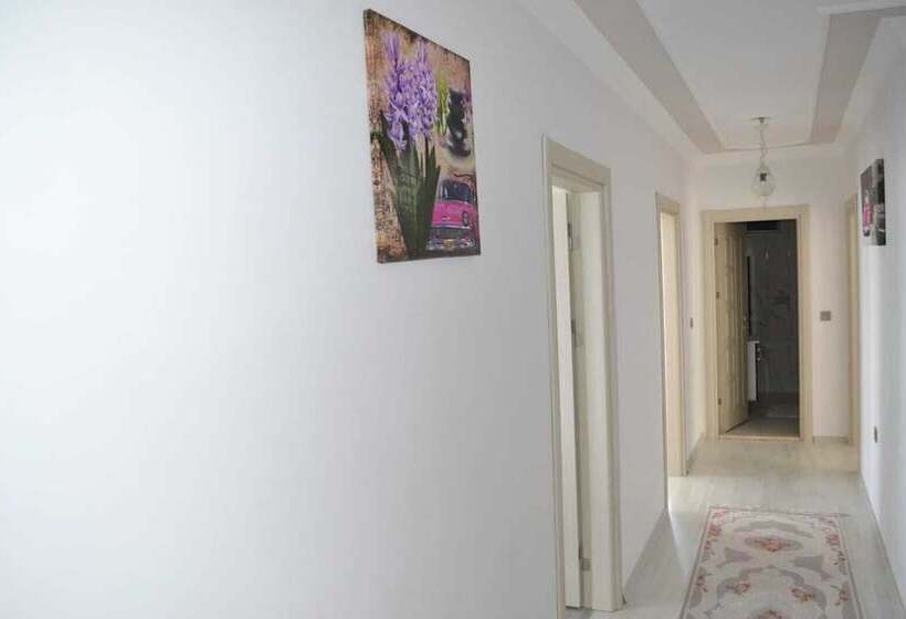 هتل Shahin Golden