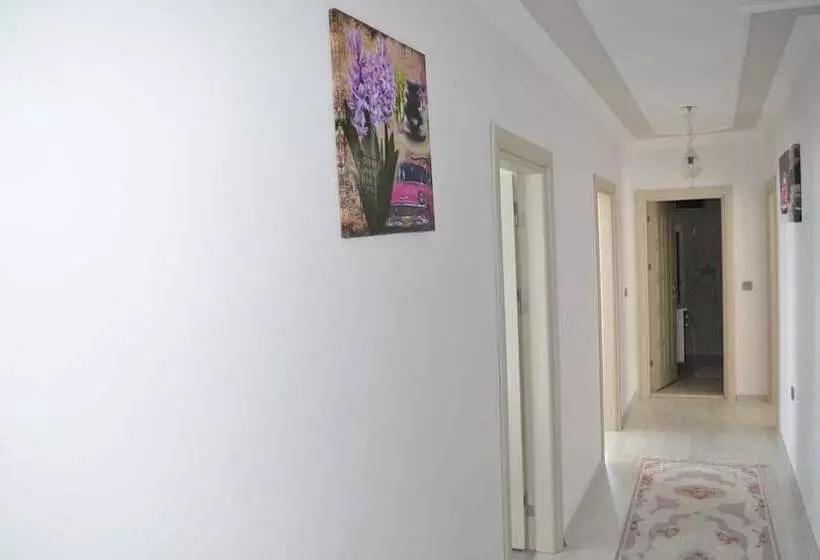 Hotelli Shahin Golden