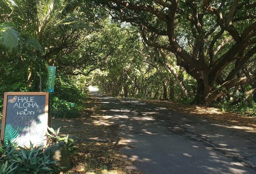 Kalani Oceanside Retreat