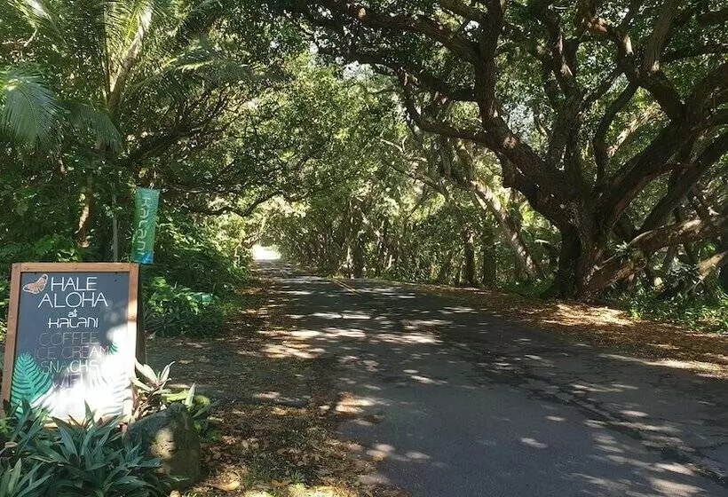 Kalani Oceanside Retreat