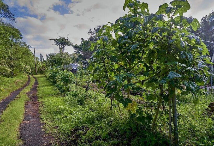 Kalani Oceanside Retreat