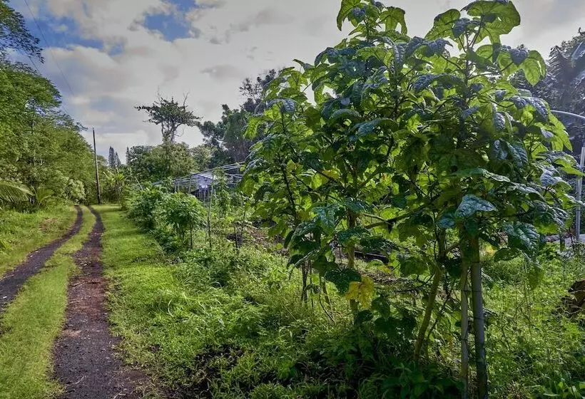 Kalani Oceanside Retreat