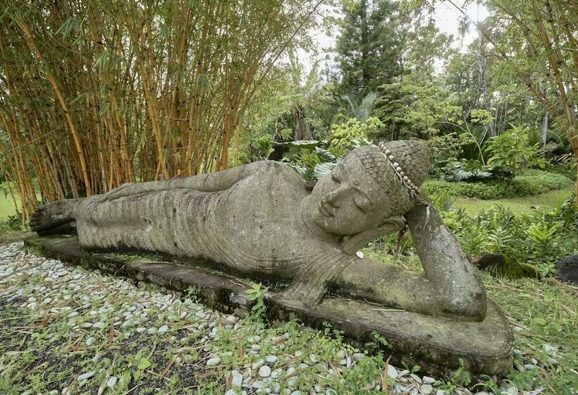 Kalani Oceanside Retreat