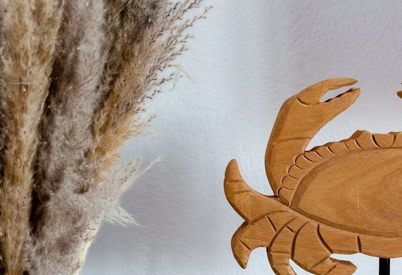 Pension (Hôtel basse catégorie) Divino Suites