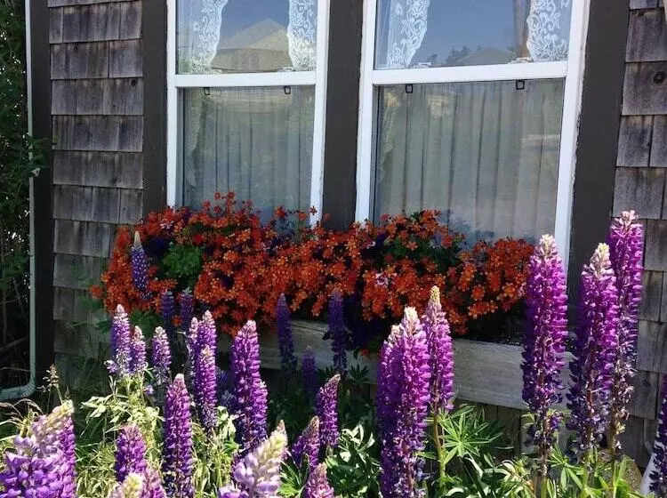 Majatalo Little Bird Inn