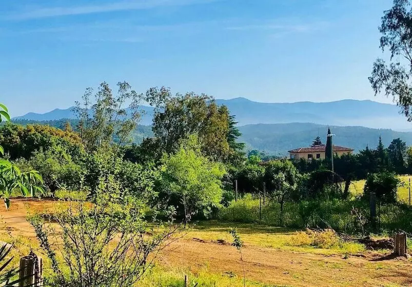 Majatalo Masia Mimosa